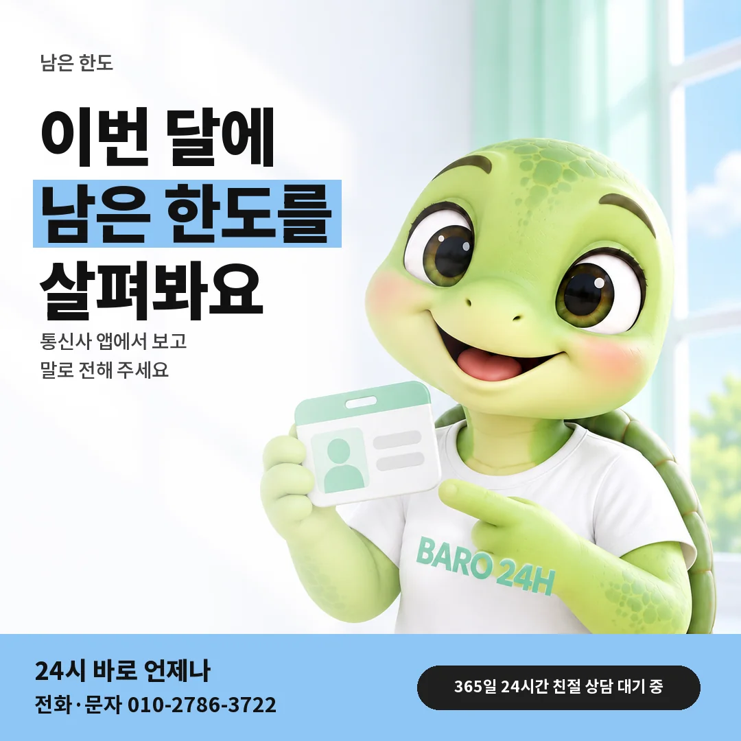 신분증을 든 BARO 24H 티셔츠를 입은 3D 거북이 캐릭터 옆에 「남은 한도 알아보기」 제목을 얹은 안내 카드