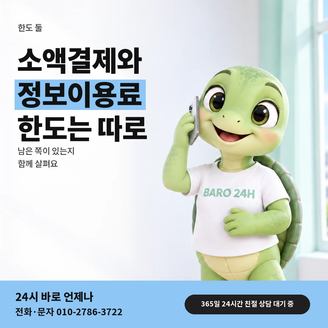 휴대폰을 보며 웃는 BARO 24H 티셔츠를 입은 3D 거북이 캐릭터 옆에 「정보이용료 한도도 보기」 제목을 얹은 안내 카드
